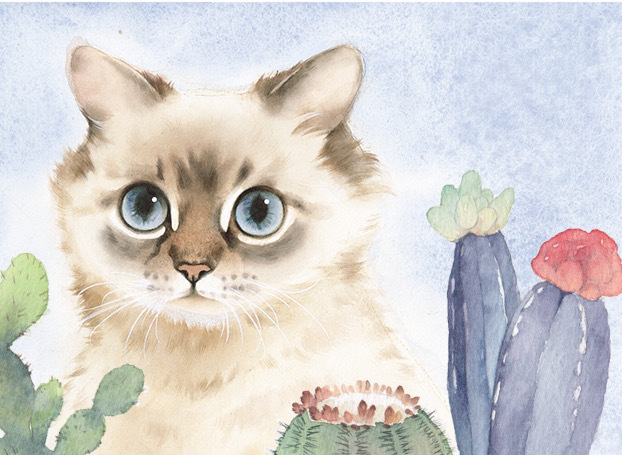 毛茸茸治愈——手绘可爱小动物