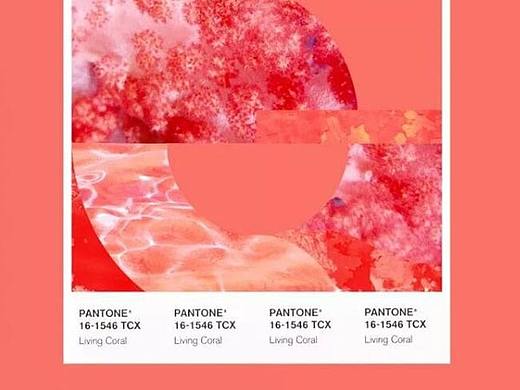 Pantone潘通2019年度色珊瑚橘,设计师该如何看待?