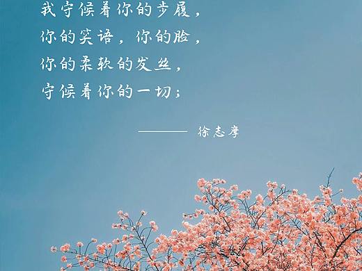 微信公众号（个人主页-ZMzc4Njg2MTY=） - 宣传物料 - 站酷设计师小佳佳拉拉原创素材 - 站酷ZCOOL