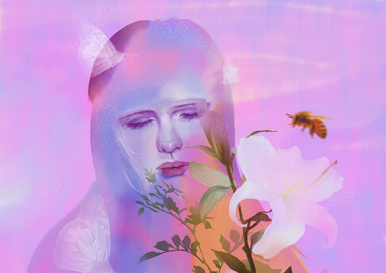 飞鸟集完结汇总（图ZNzY0MzgxMjA=） - 创作习作 - 站酷设计师中下游原创素材 - 站酷ZCOOL