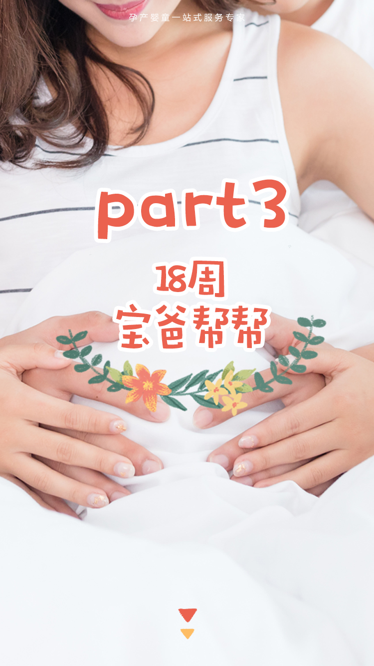 周刊模板