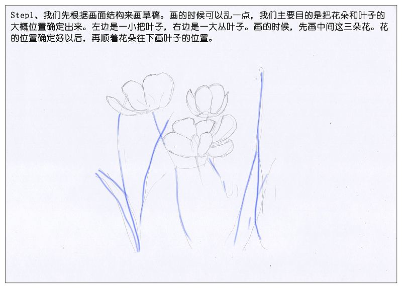 驴大萌彩铅教程151手绘郁金香花丛