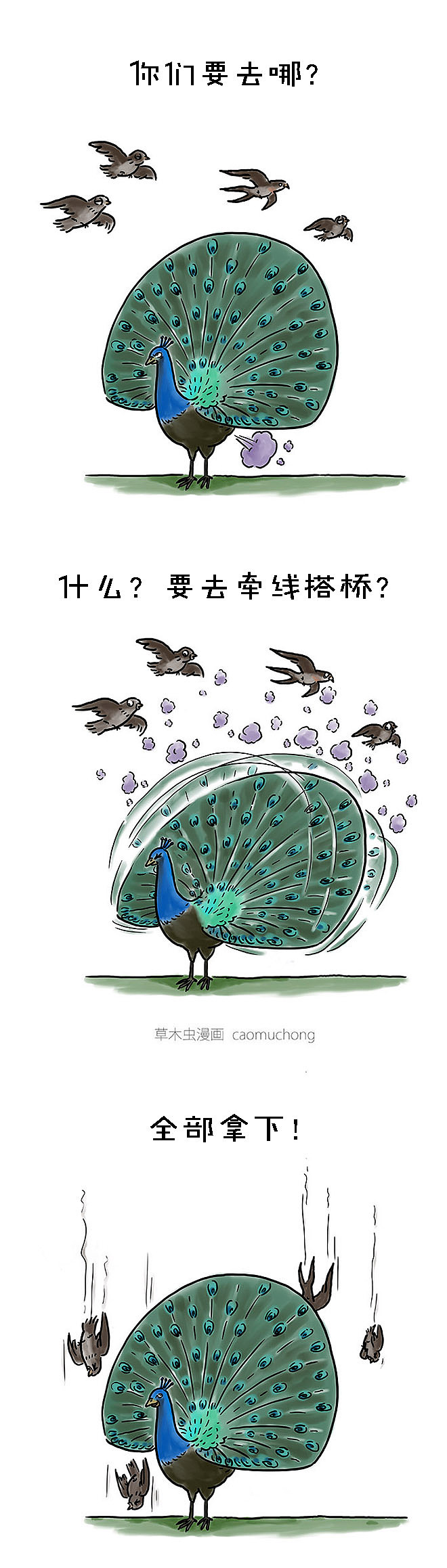 七夕的一口怨气（图ZODk3NjkzNDQ=） - 单幅漫画 - 站酷设计师草木虫原创素材 - 站酷ZCOOL