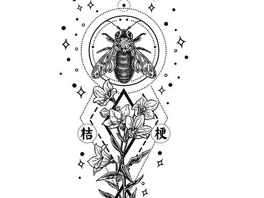 本草綱目（個人主頁-ZMzc0NDg4MDQ=） - 商業(yè)插畫 - 站酷設(shè)計師crayon小菠蘿原創(chuàng)素材 - 站酷ZCOOL