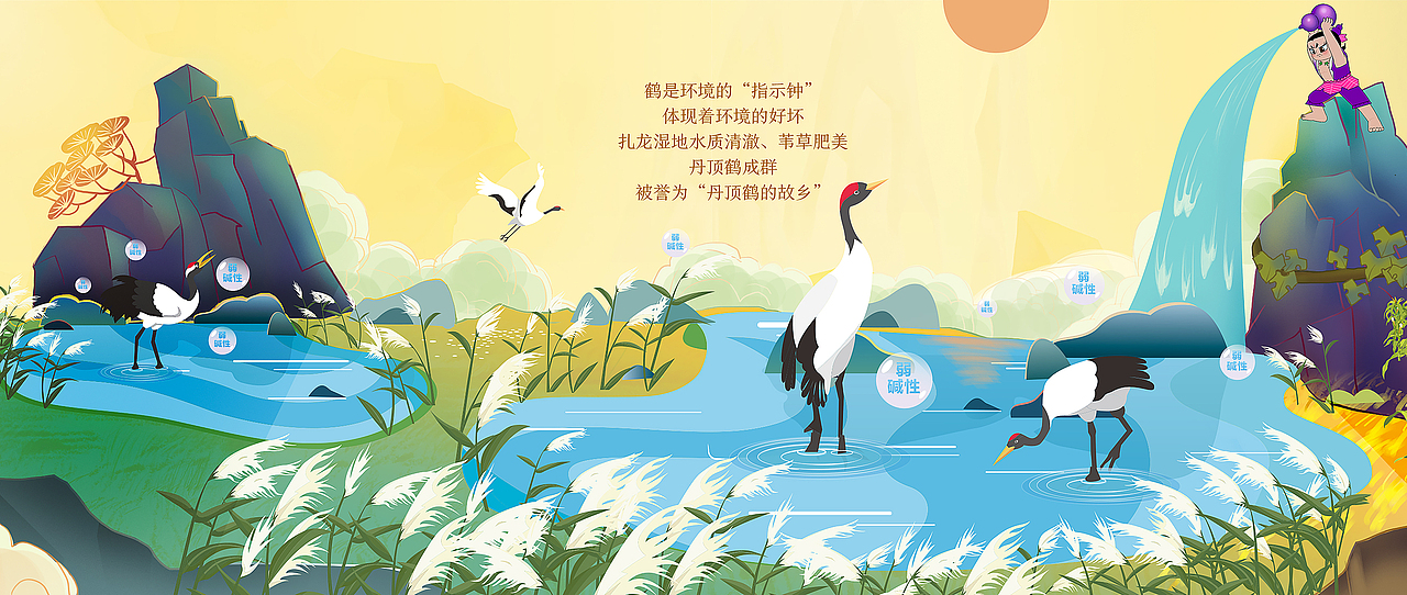 飞鹤溯源-葫芦娃IP应用