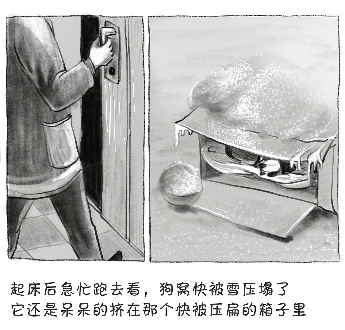 流浪狗的冬天何时不再寒冷