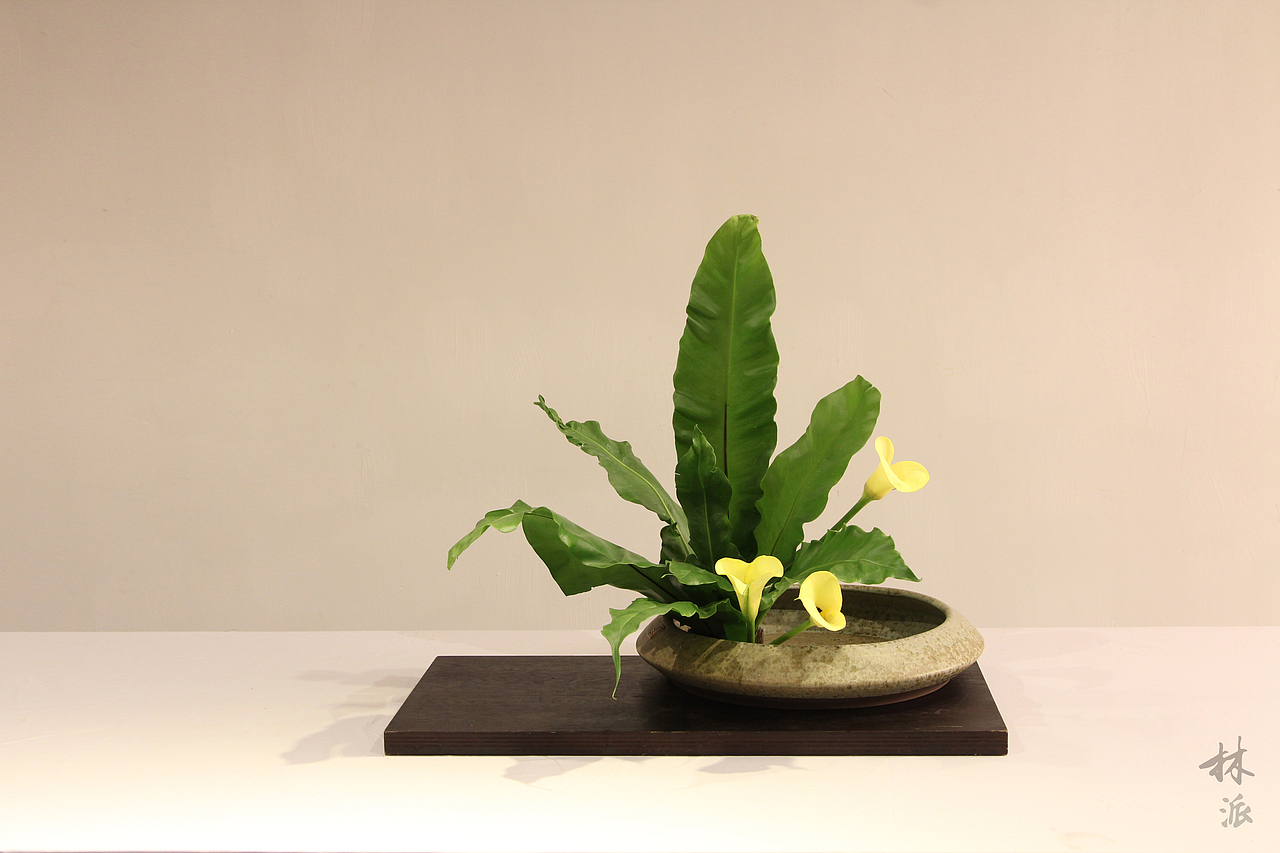 林派花道·《花漾年华》厦门大学美学讲座(图ZNDgwNTk1ODQ=) - 绘画 - 站酷设计师林派花道原创素材 - 站酷ZCOOL