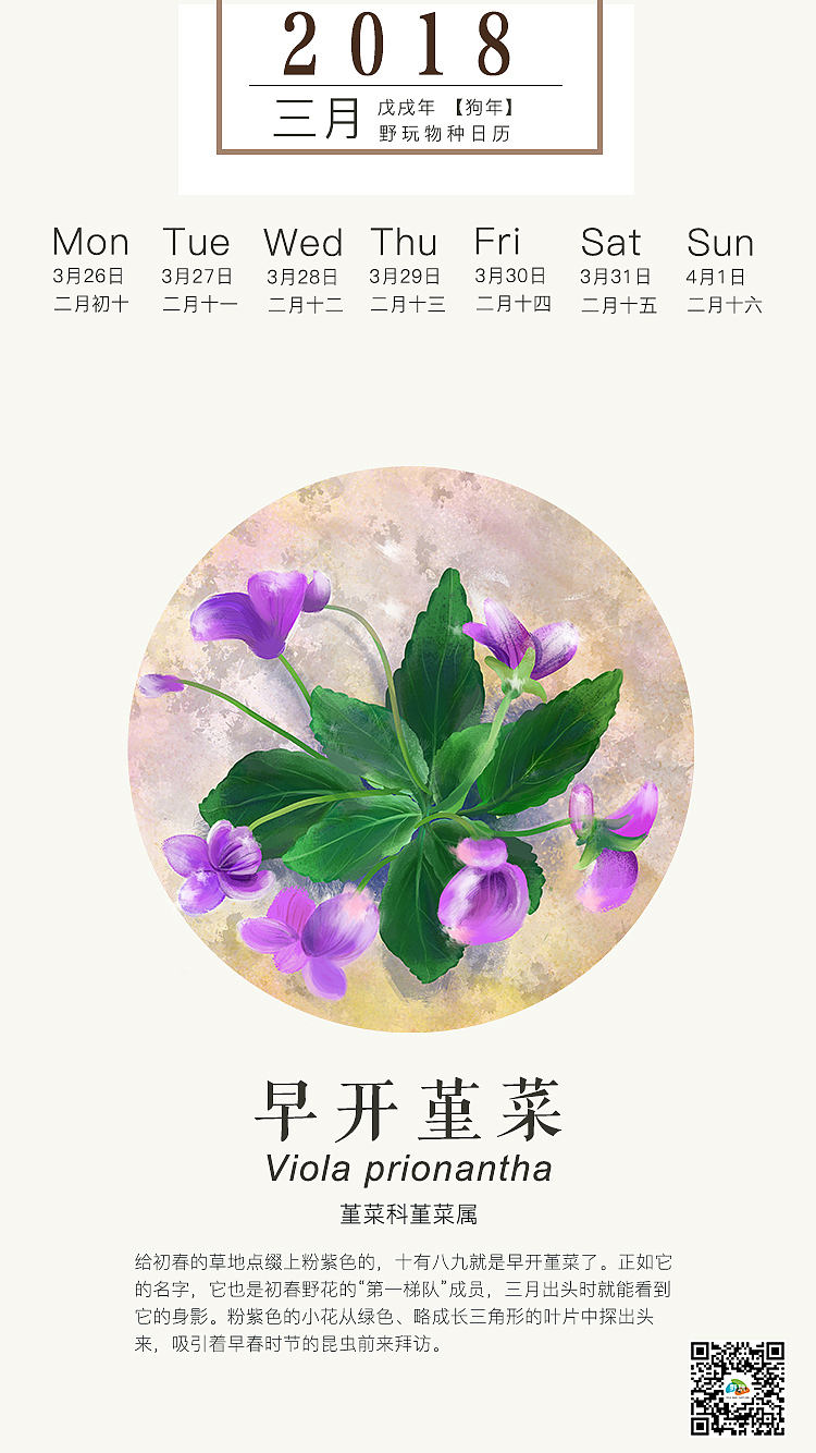 物种日历（图ZMTE3MTQ2NDI4） - 商业插画 - 站酷设计师六月猫原创素材 - 站酷ZCOOL