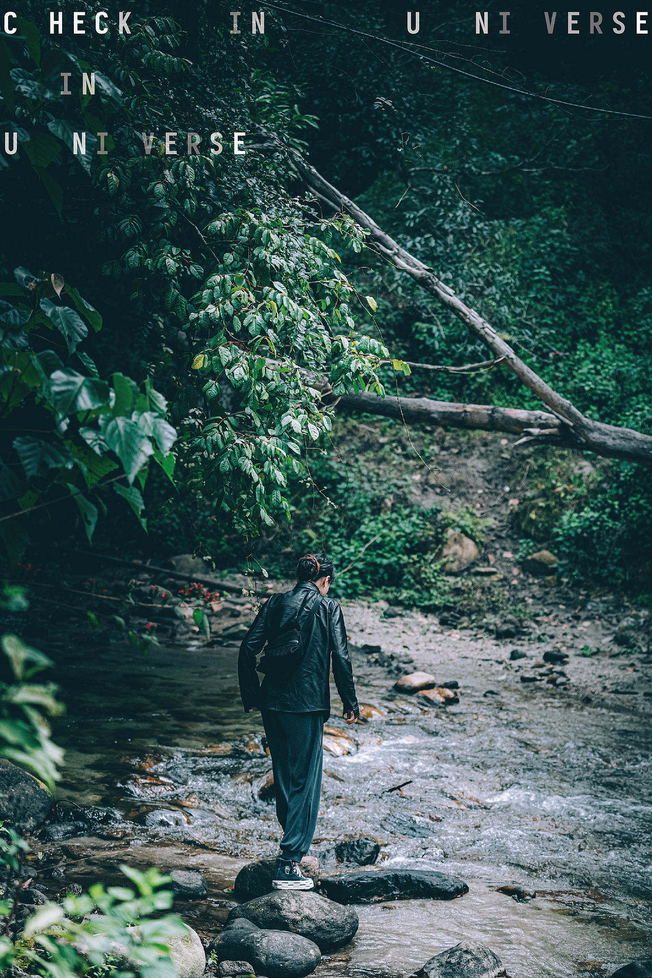 西南以南 | 春季 | 山林 | 溪流