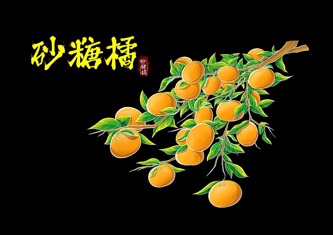 砂糖橘插画（图ZMzU5ODExODE2） - 商业插画 - 站酷设计师何Y娟原创素材 - 站酷ZCOOL