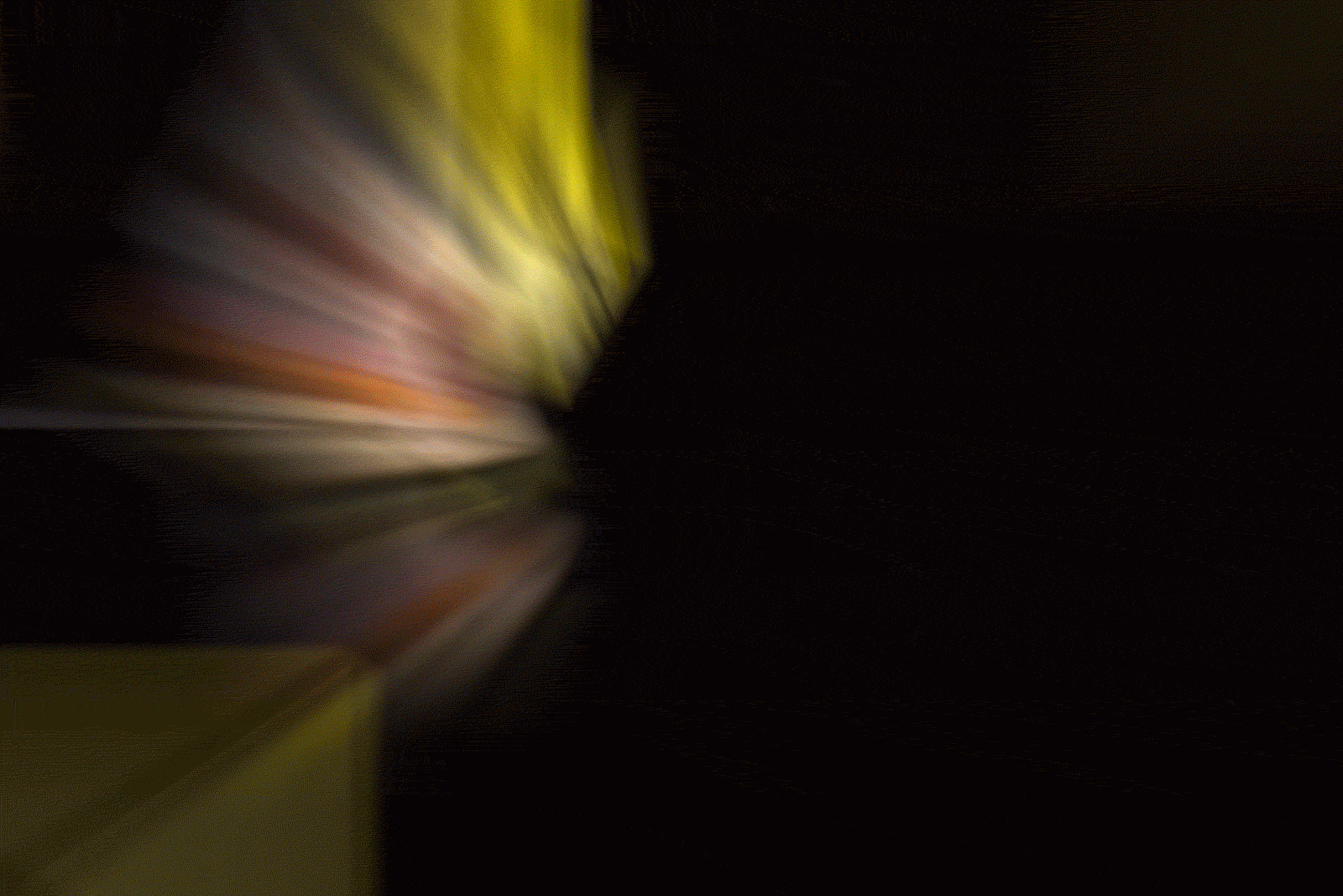 卷卷薯条-餐饮策略视觉设计