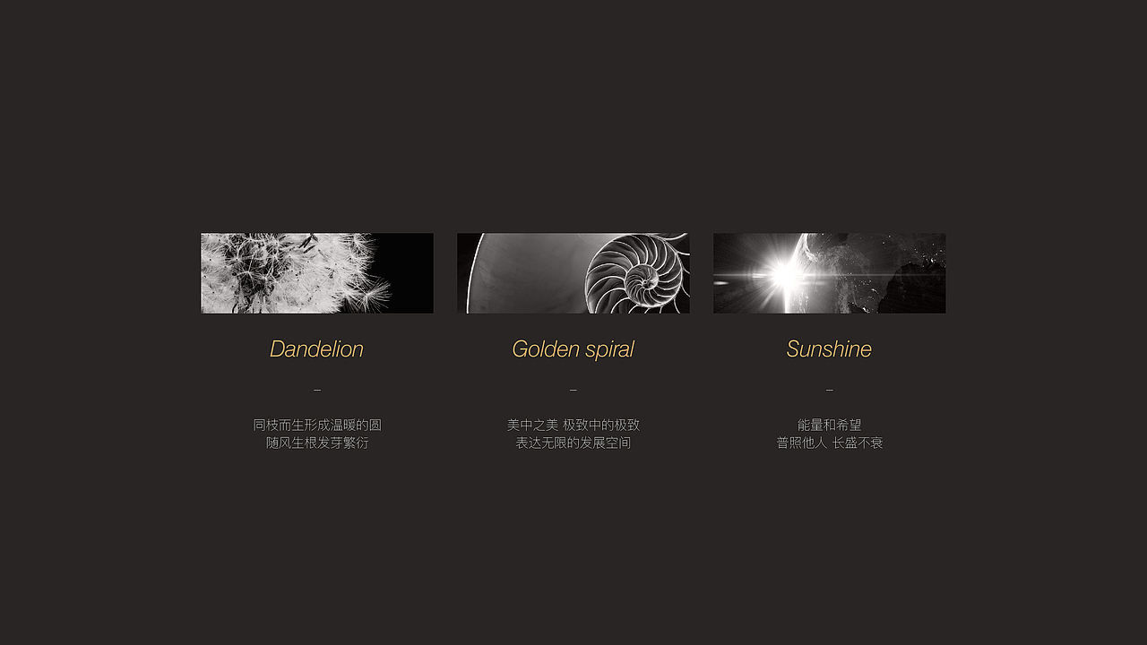 PUJIN蒲今文化有限公司Logo设计/VI设计（图ZMjIwNDk1MTI4） - 品牌 - 站酷设计师HAm蒋蒋原创素材 - 站酷ZCOOL