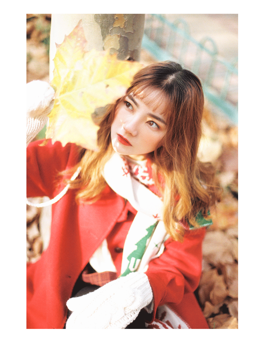 秋天的尾巴-胶片摄影