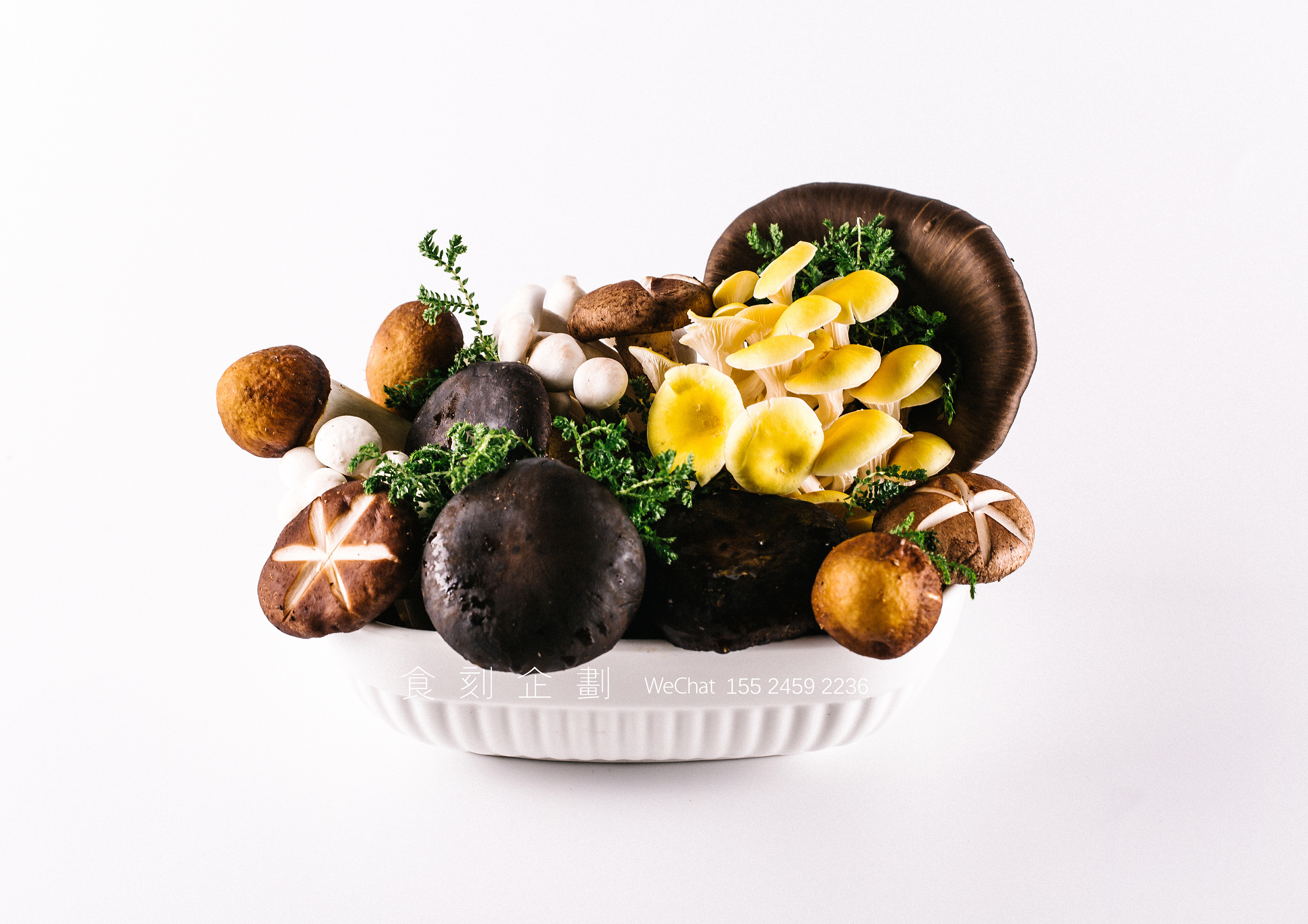 菌菇产品拍摄