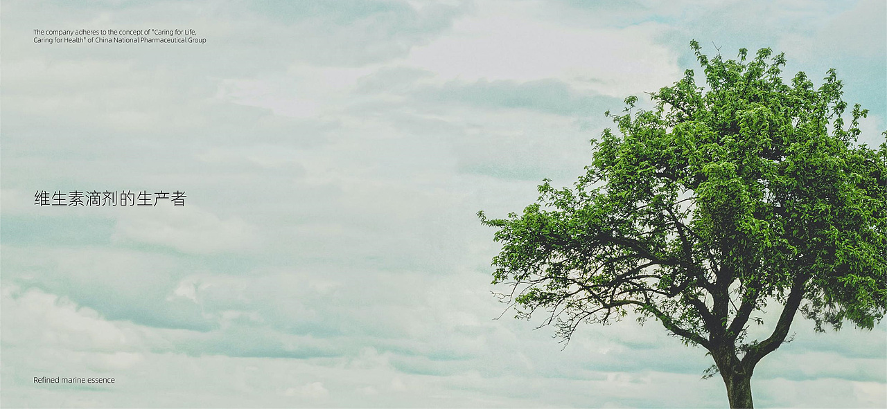 国控星鲨全新LOGO&70周年徽标