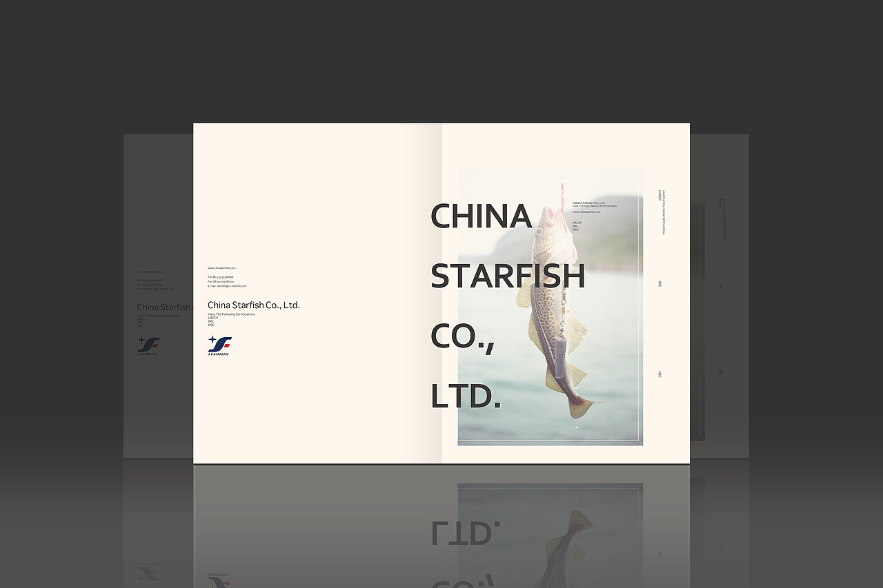 产品手册（图ZMTYxMjU5ODQ=） - 书籍/画册 - 站酷设计师a_k_y_t原创素材 - 站酷ZCOOL