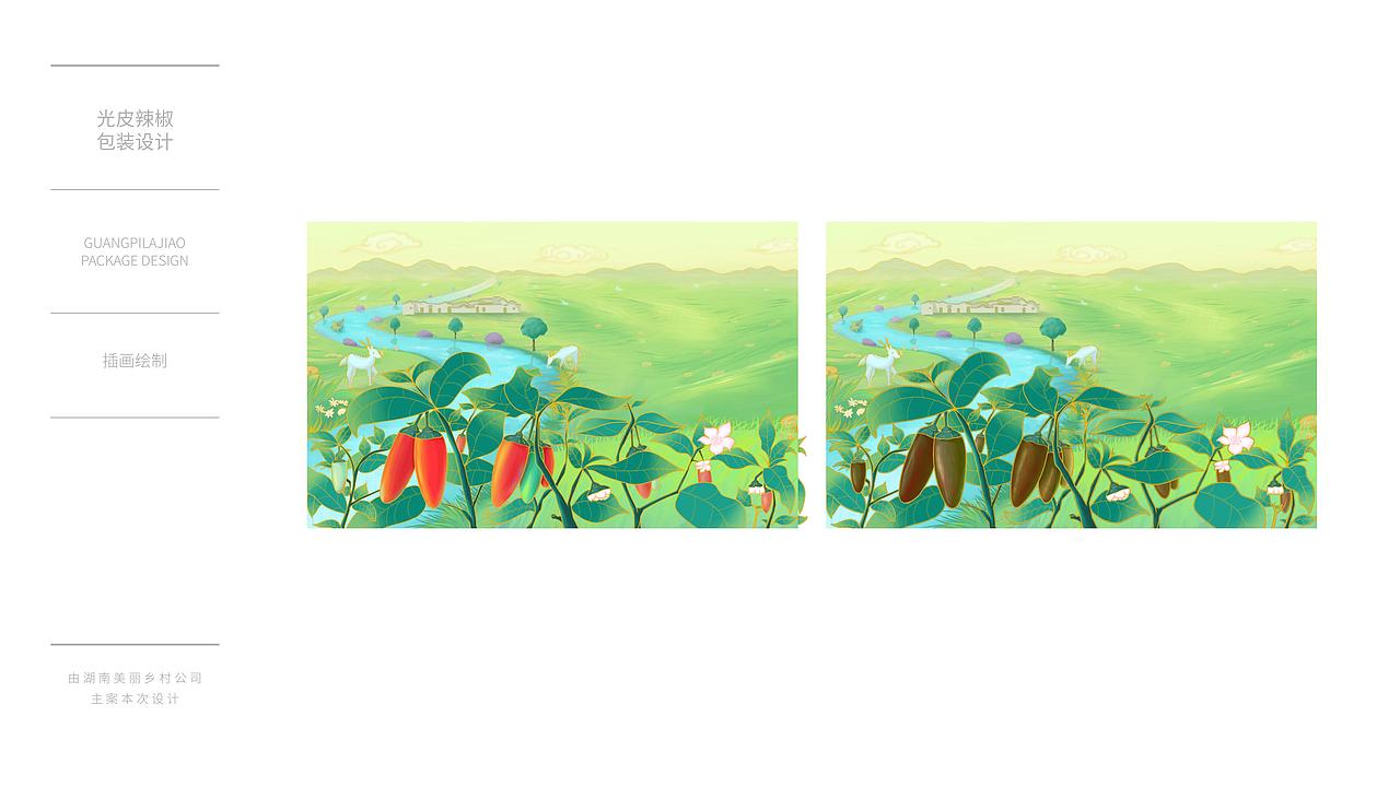 长沙县光皮辣椒包装设计