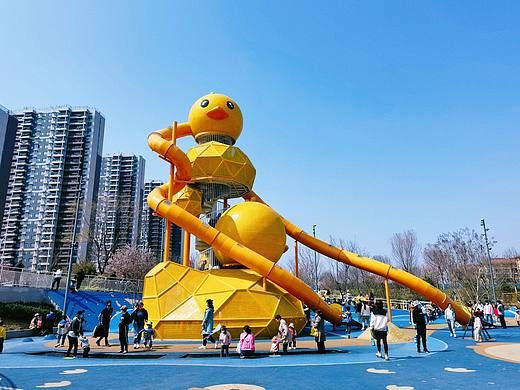 可爱的小黄鸭，谁不爱？（个人主页-ZNjI4OTE0MjA=） - 人文/纪实摄影 - 站酷设计师葵哥来了原创素材 - 站酷ZCOOL