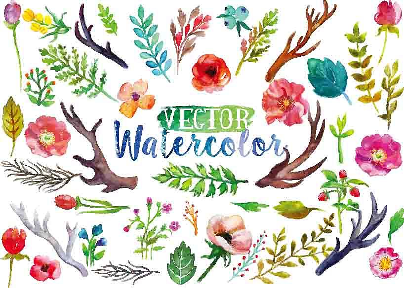 手绘水彩植物矢量图插画热带风情