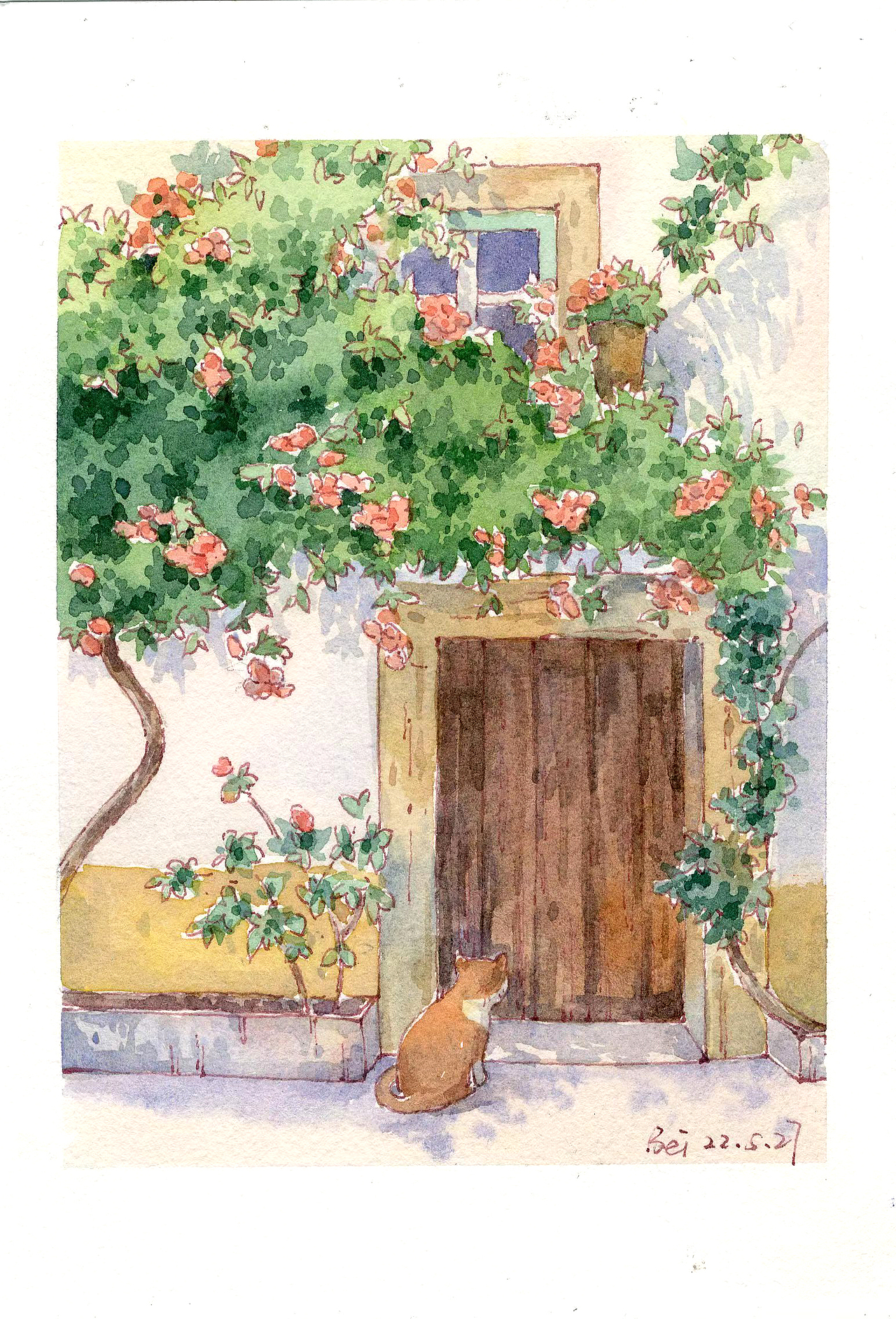 钢笔淡彩插画|光影的变化