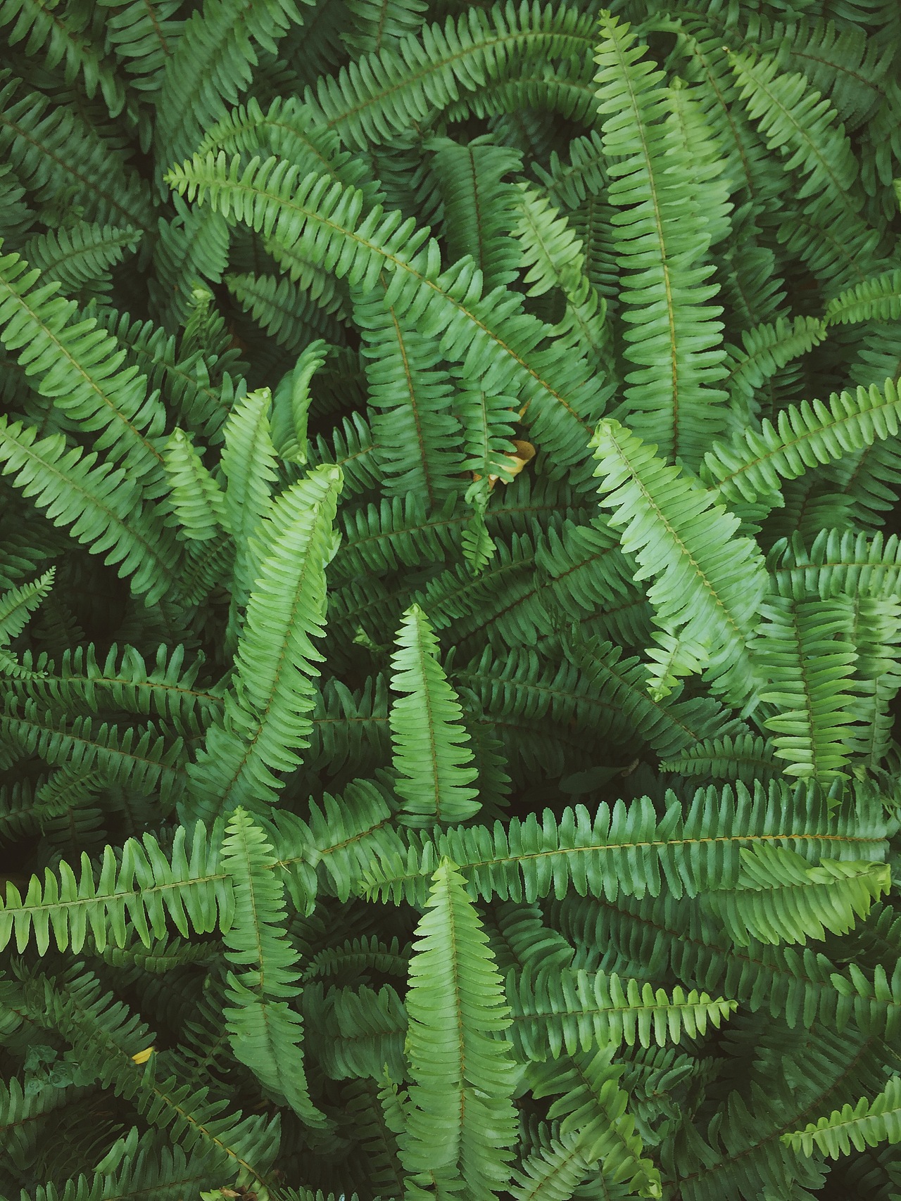 手机里的2016（图ZNjcyMTgzNjQ=） - 人文/纪实摄影 - 站酷设计师Rimo原创素材 - 站酷ZCOOL