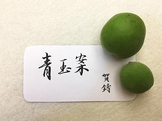 书法日常-行楷：《青玉案》贺 铸