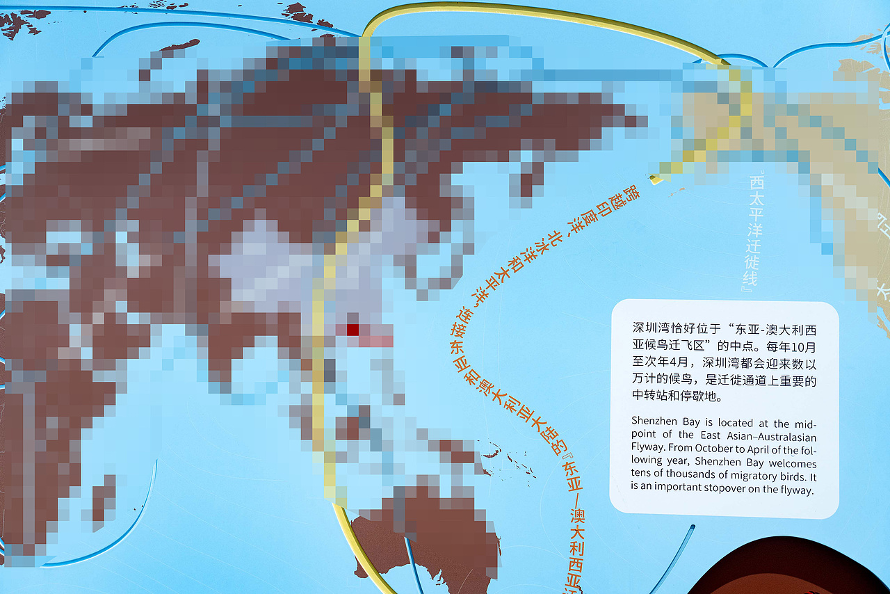 深圳湾公园湿地主题解说牌(图ZMjk1MDM5MTAw) - 图案 - 站酷设计师tofu豆腐原创素材 - 站酷ZCOOL