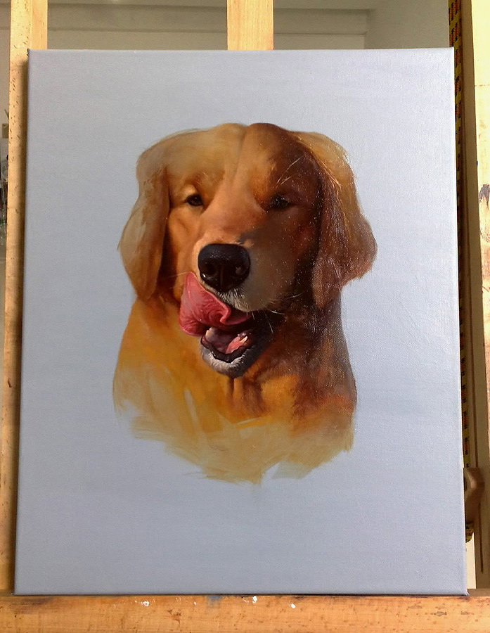Golden Retriever（图ZNjg2ODAxNg==） - 艺术插画 - 站酷设计师winhooo原创素材 - 站酷ZCOOL