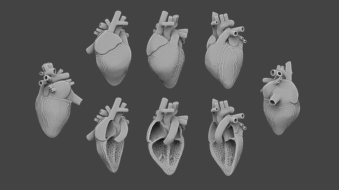 vr医学项目心脏展示南京|三维设计师victorsun75060