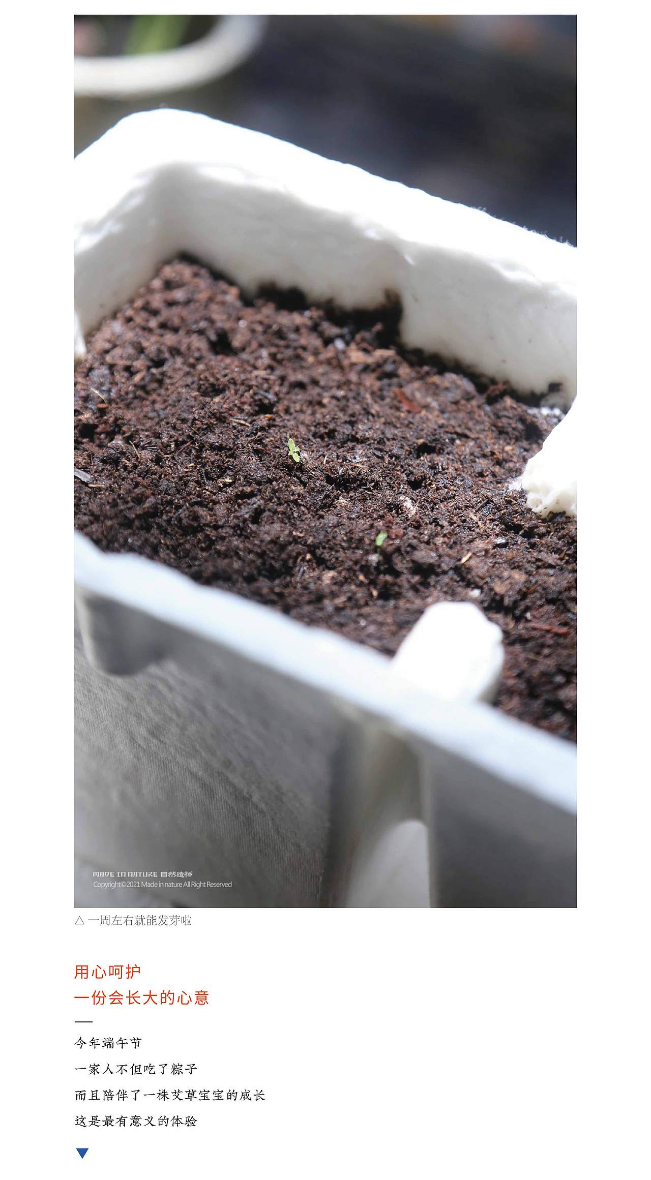 【仲夏花园】自然造物