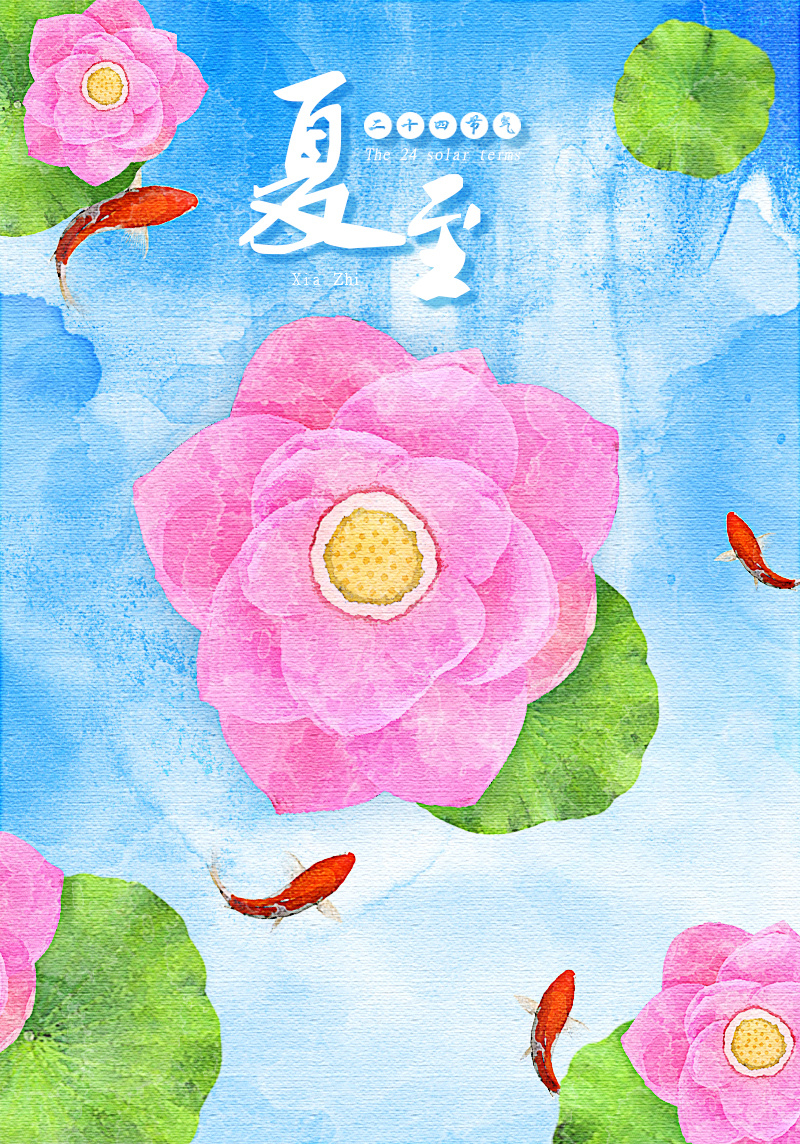 夏日荷花_水彩画