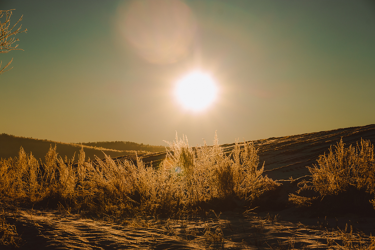 北极行(老照新修)