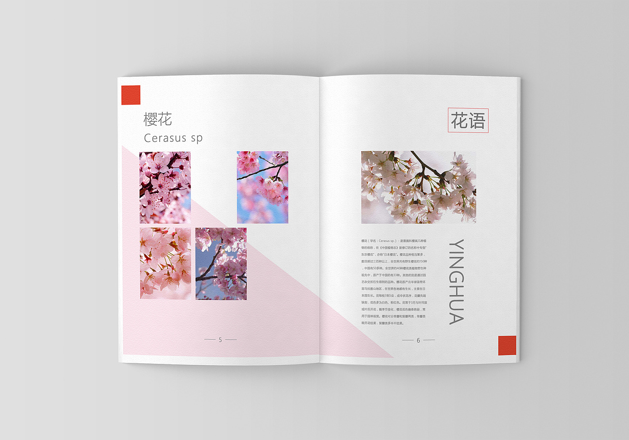 花語(yǔ)（圖ZMTMxOTQ3ODcy） - 宣傳物料 - 站酷設(shè)計(jì)師阿熊i原創(chuàng)素材 - 站酷ZCOOL