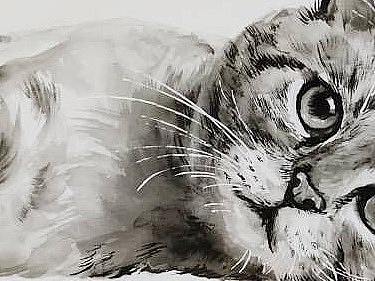 水墨小猫