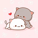 浅忆忧伤的头像