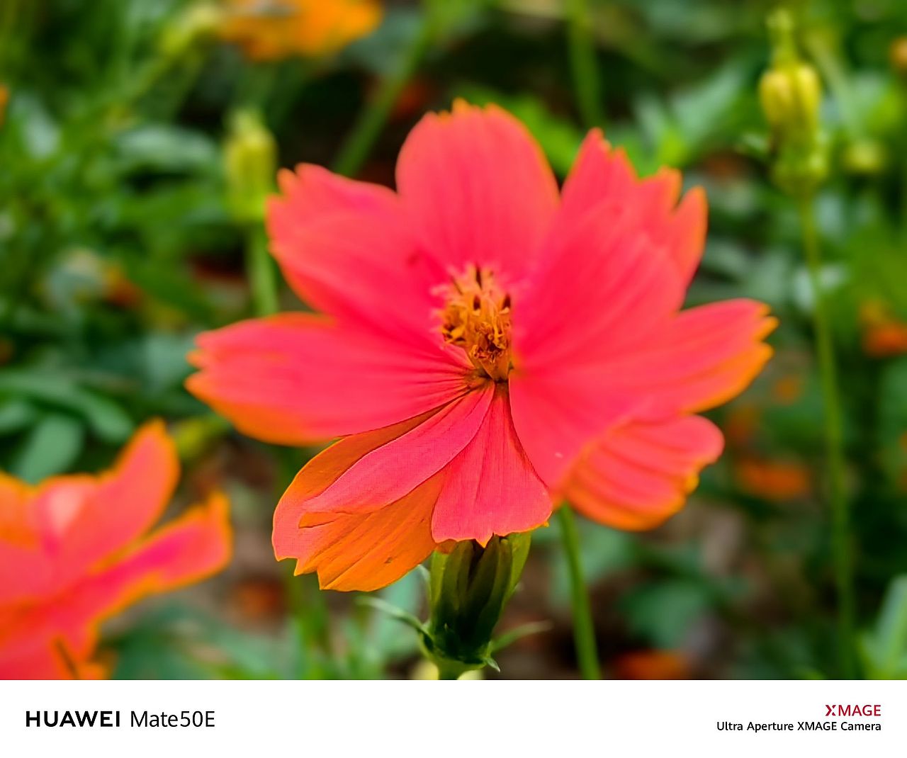 南宁青秀山随手拍