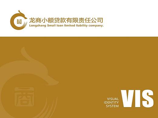 龙商小贷VI