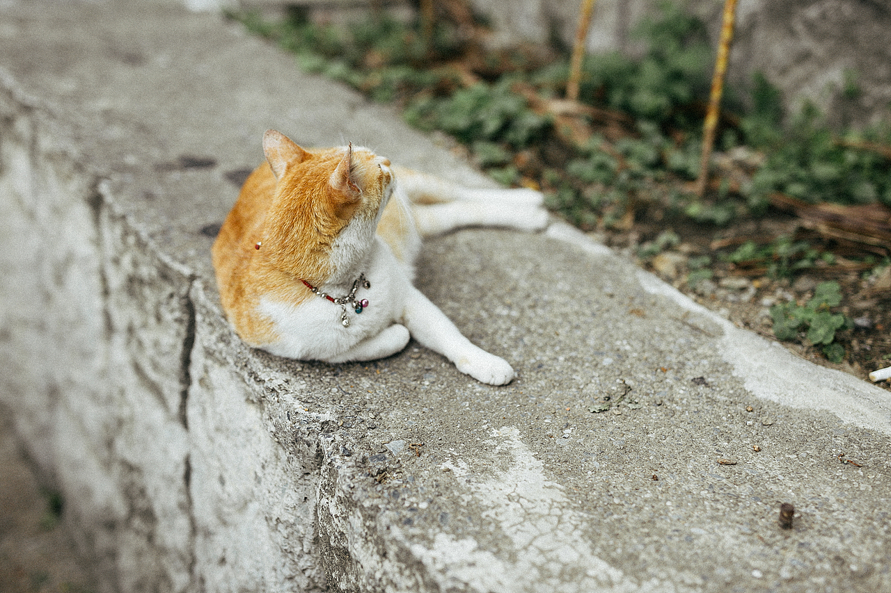 台湾纪——九份