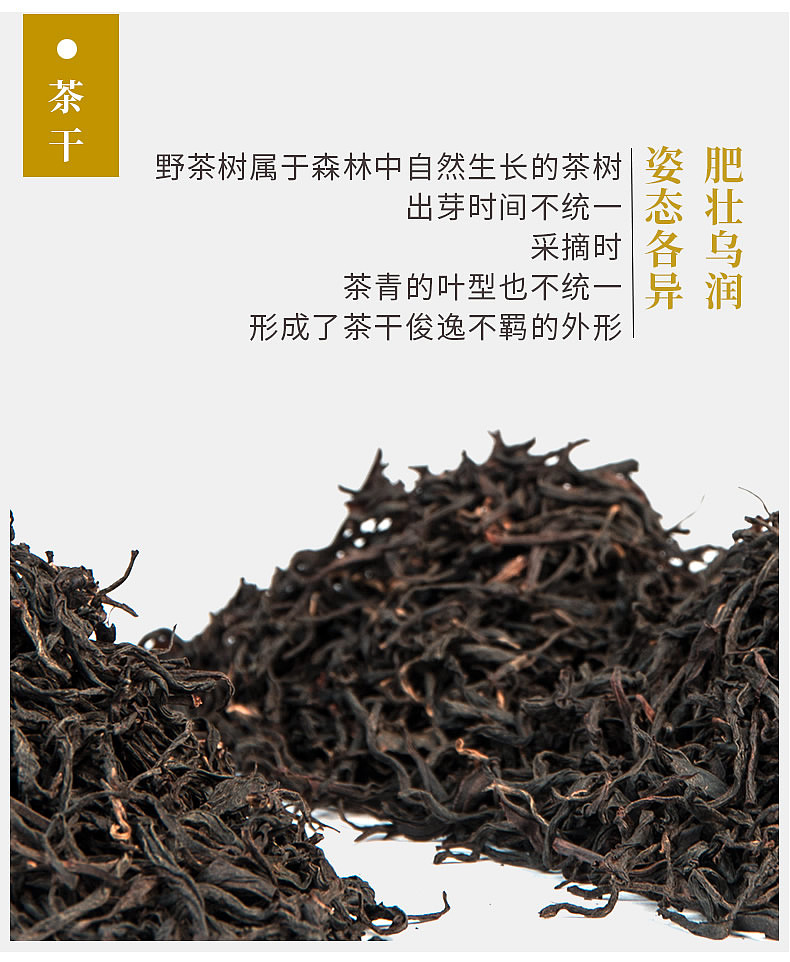高山野茶来一波