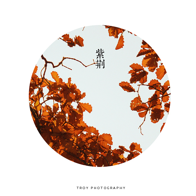 后知后觉·八大关（图ZMTI2Mjk1MDQ=） - 风光摄影 - 站酷设计师TROYW原创素材 - 站酷ZCOOL