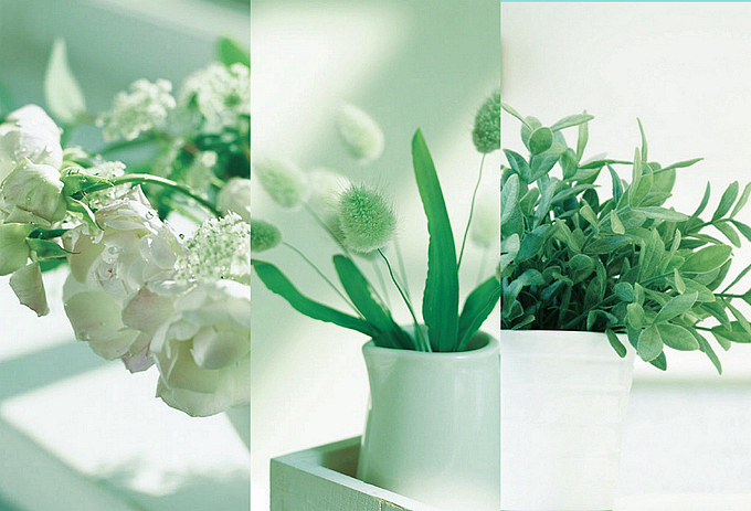 成林花语 LOGO设计