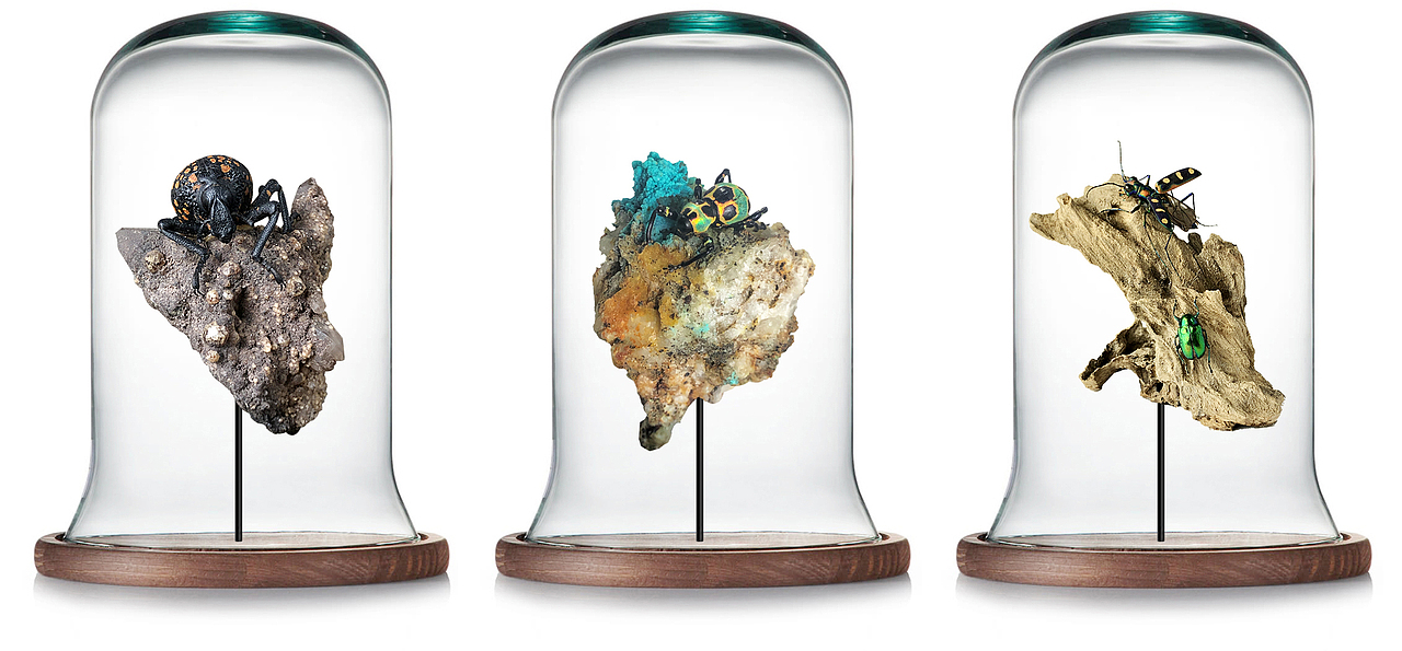 建筑与自然共生 . 离梦想又近一步!! !