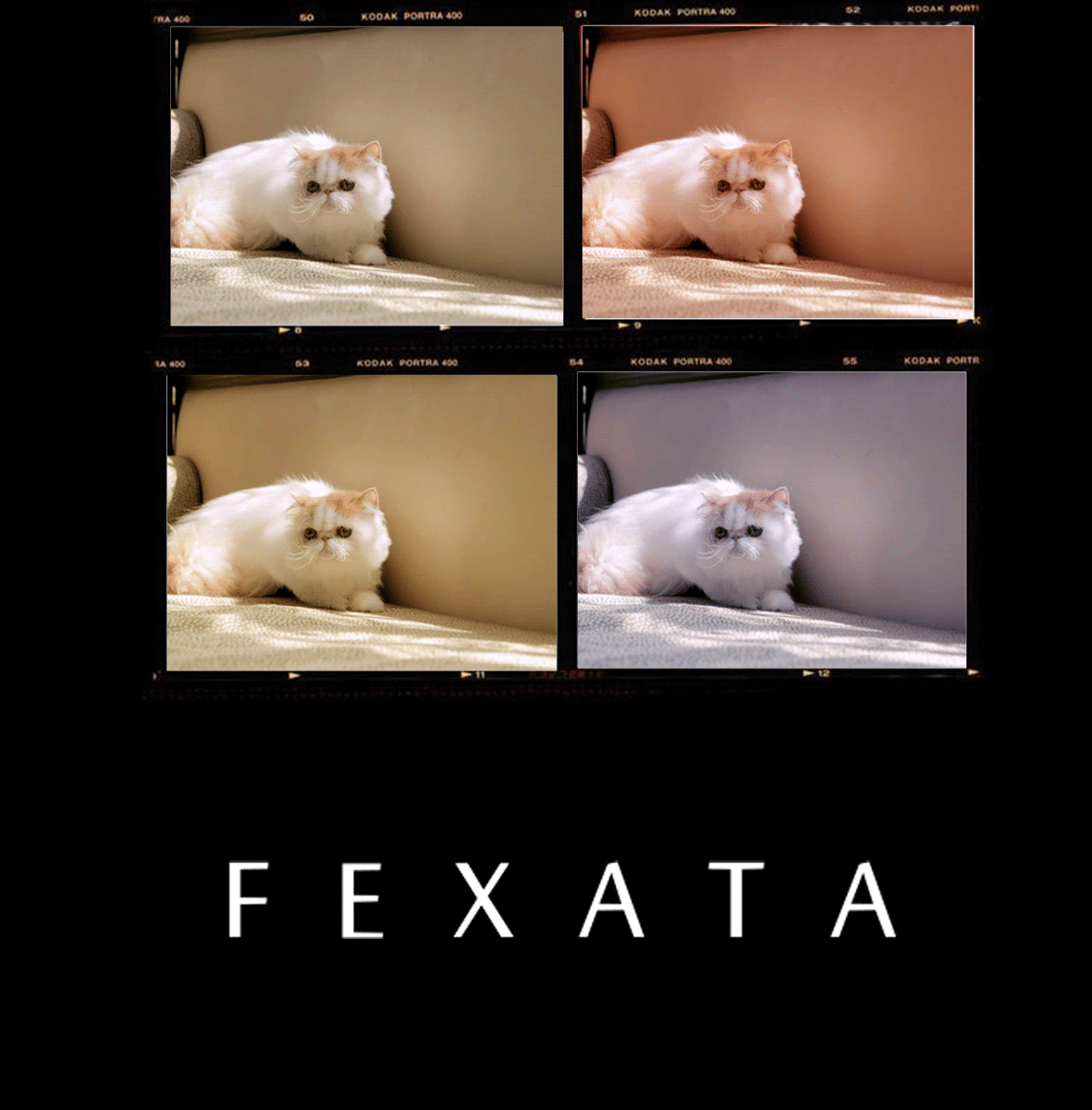 漫游梦境 繁星璀璨