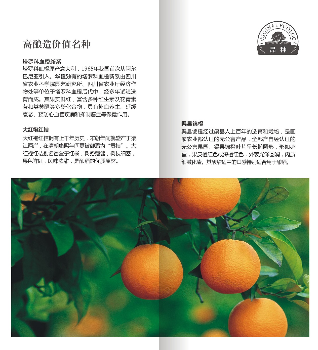 画册 作品集（一）（图ZODUxOTA0MzI=） - 书籍/画册 - 站酷设计师Dinz平原创素材 - 站酷ZCOOL