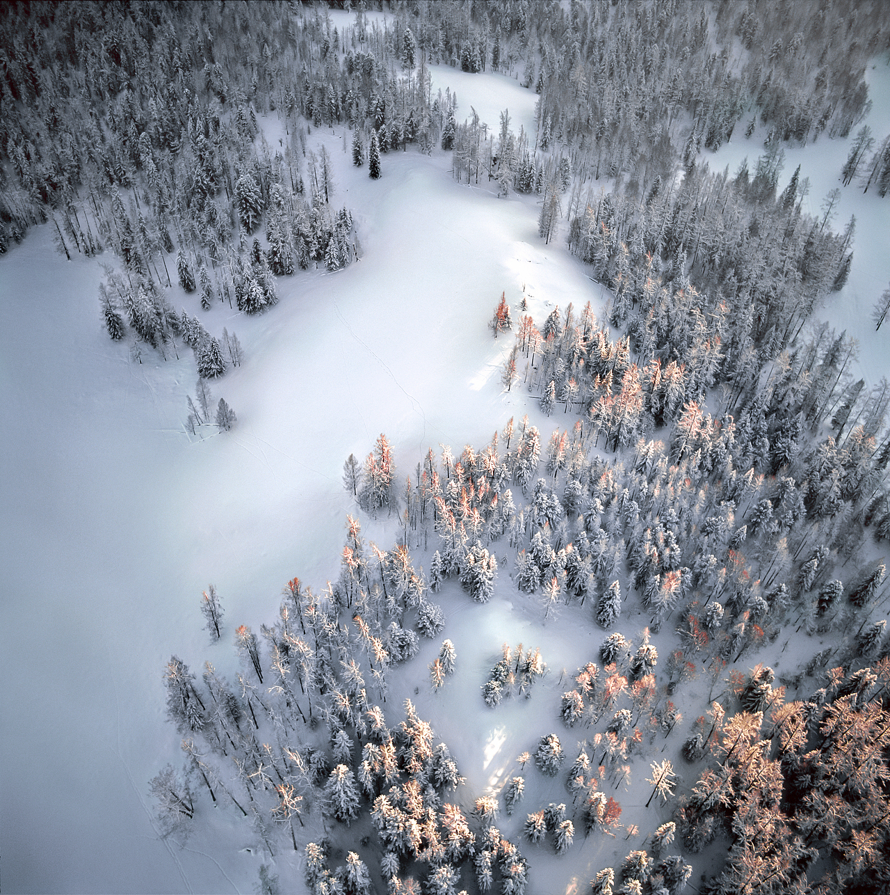 期待着今年最近的一场雪（图ZMTc0ODk2OTE2） - 风光摄影 - 站酷设计师中二的羊羊原创素材 - 站酷ZCOOL