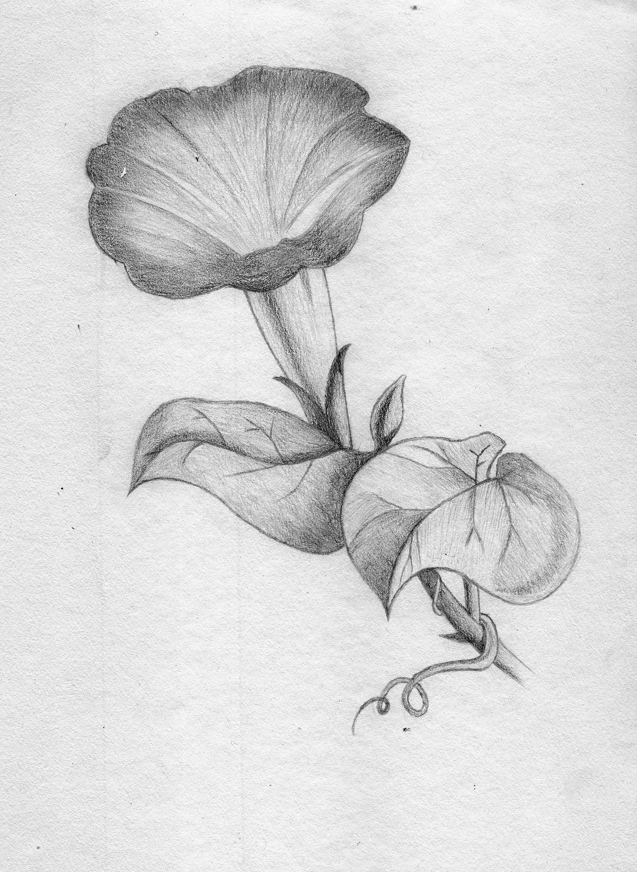 29:35从零开始学素描(基础篇)465065王云飞04:21:54教你画静态卡通