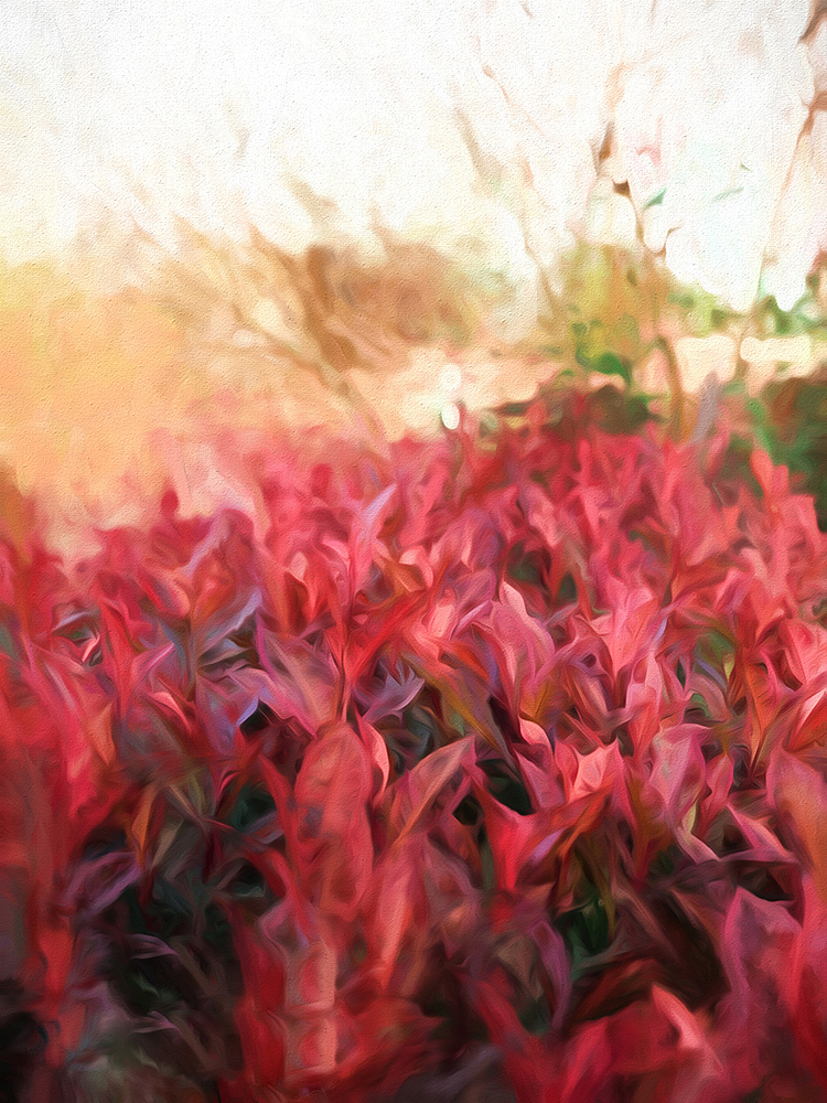 采風(fēng)（圖ZOTgxODAxMDA=） - 風(fēng)光攝影 - 站酷設(shè)計師美麗UI原創(chuàng)素材 - 站酷ZCOOL