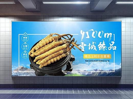 冬虫夏草广告