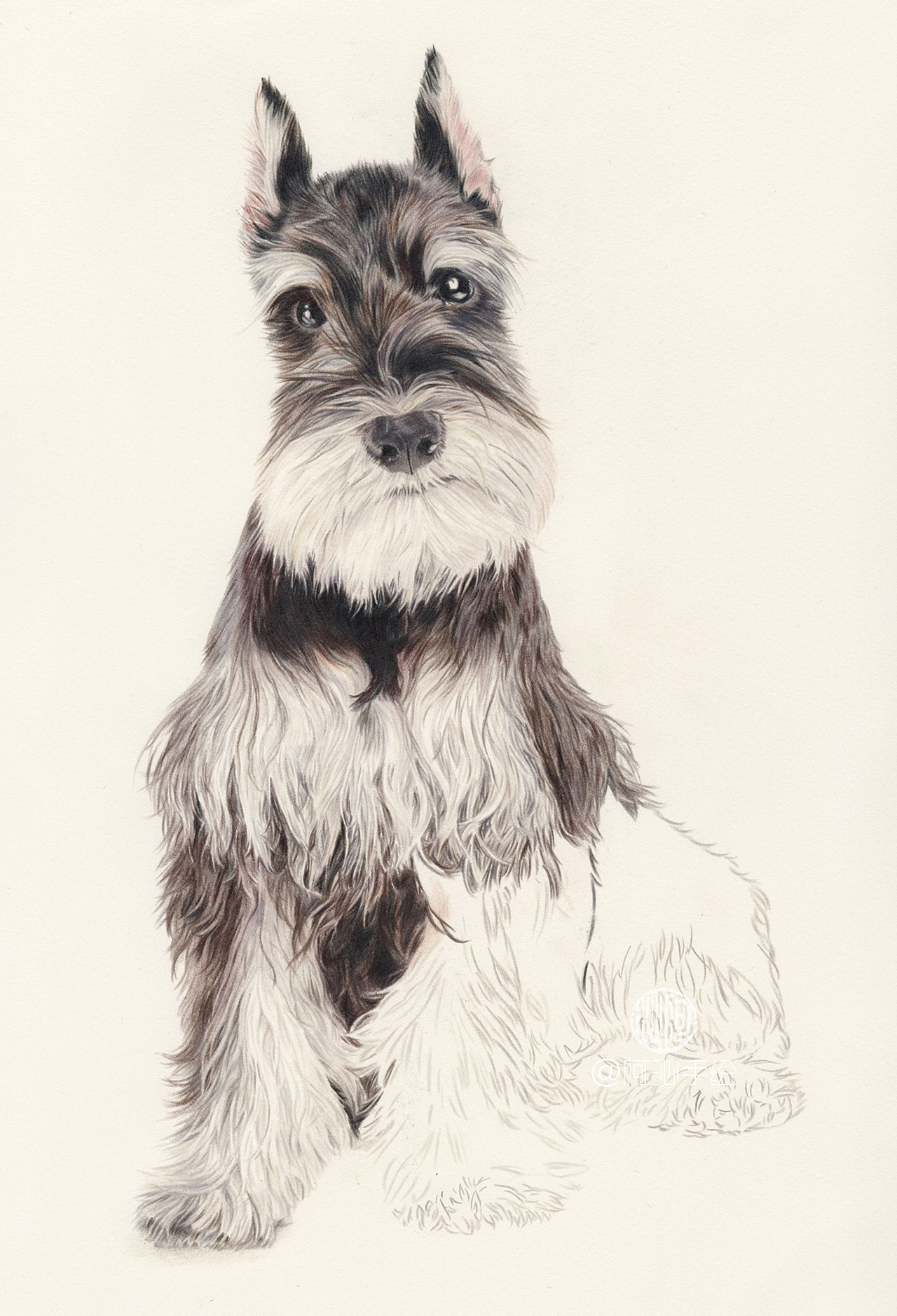 三只小型犬-阿沁作品（图ZMTEwOTYzNjk2） - 绘画 - 站酷设计师煜芮原创素材 - 站酷ZCOOL