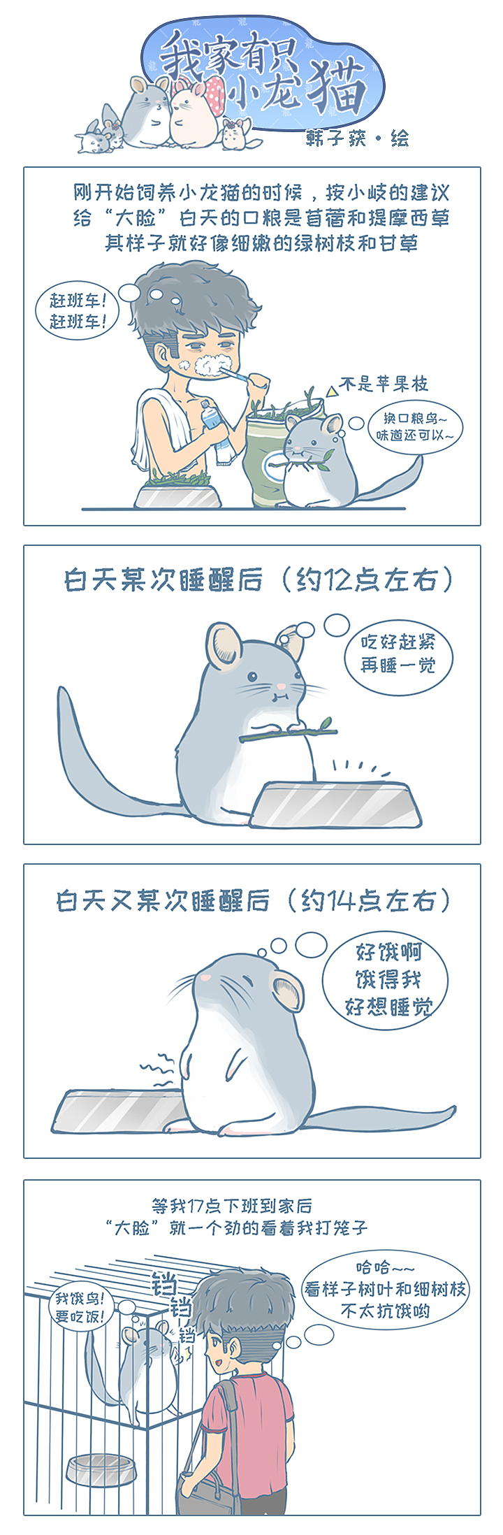 中国原创龙猫漫画《我家有只小龙猫》小故事7.8